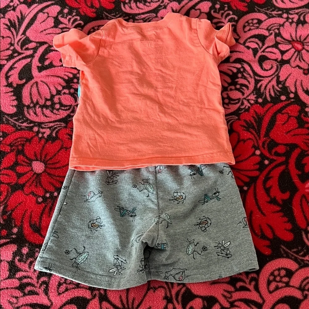 Carter's Vibrant Orange Tee and Gray Shorts preloved.